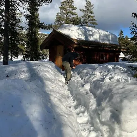 Idyllisk Sted Pa , Naer Rauland Oyfjell