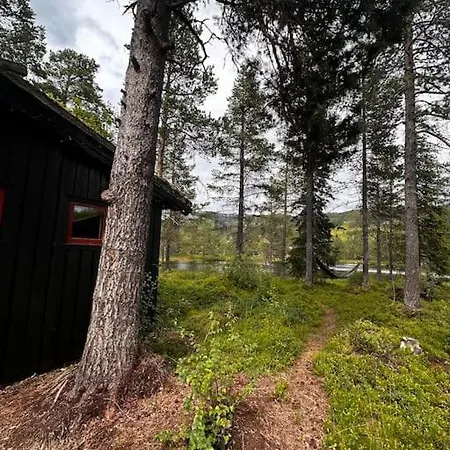 度假居 Idyllisk Sted Pa , Naer Rauland *