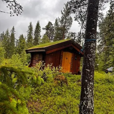 Idyllisk Sted Pa , Naer Rauland *