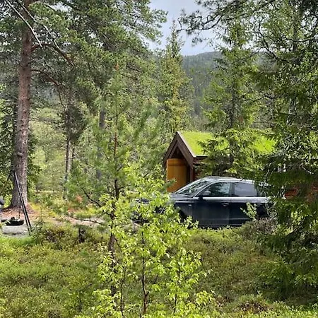 Idyllisk Sted Pa , Naer Rauland 度假居 Oyfjell